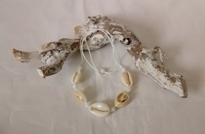 Enkelbandje schelp, wit