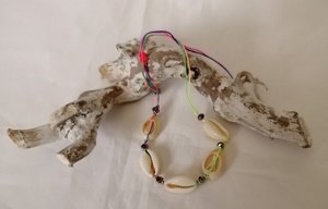 Enkelbandjes schelp