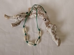 Enkelbandje schelp, groen