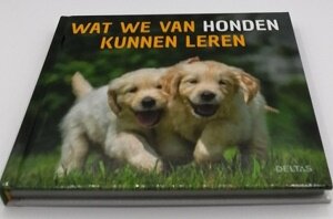 Boek, wat we van honden kunnen leren