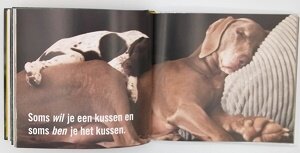 Boek, wat we van honden kunnen leren