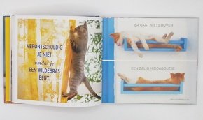 Wat we van katten kunnen leren, boek