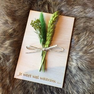 Wenskaart (van hout) Je weet wel waarom ...