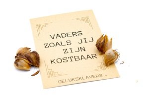 Geluksklavers, vaders zoals jij zijn kostbaar