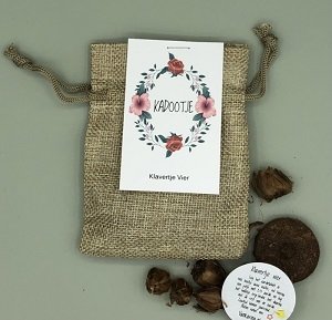 Bloembolletjes "kadootje"