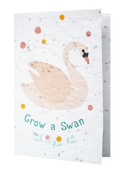 Grow a Swan bloei/groeikaart