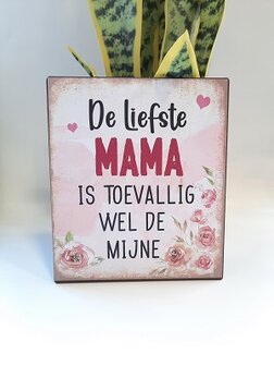 Metalen bord; de liefste mama is toevallig wel de mijne