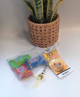 Tiny Tony's "smile" met sleutelhanger "bedankt"
