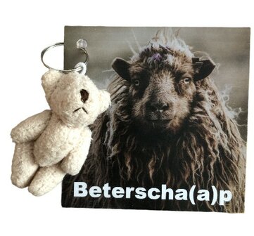 Kaartje beterscha(a) met knuffel beertje