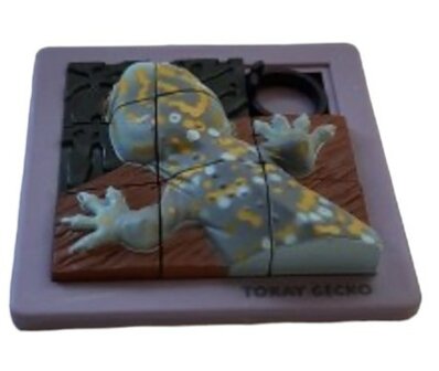 Schuifpuzzel gekko 3D