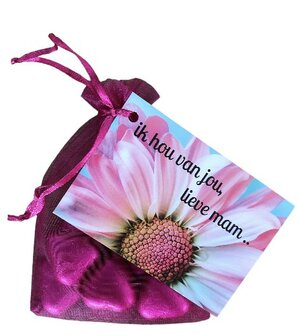 Chocolade hartjes ik hou van jou lieve mam