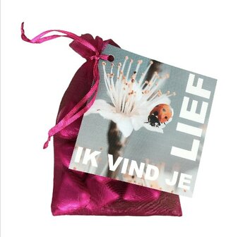Chocolade hartjes ik vind je lief
