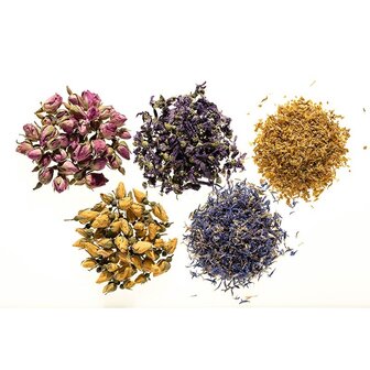 kleurrijke-botanical-flower-thee