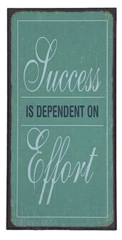 Magneet Succes is dependent on Effort