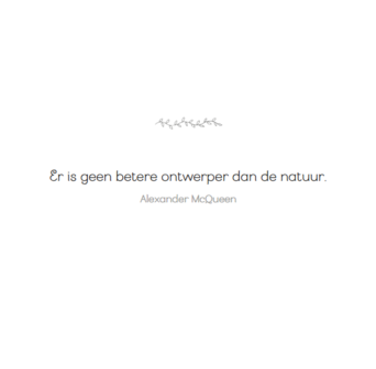 Binnenkant kleurboek &ndash; inspirerende tekst en tekening