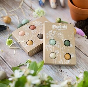 Duurzaam bloemen cadeautje per post in natuurlijke stijl