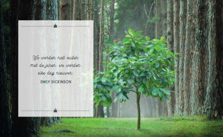 Inspirerend verjaardagscadeau voor jarige 60