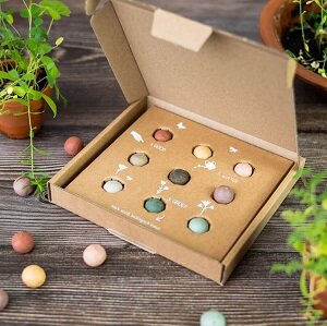 Close-up van kleurrijke bloembommetjes in de giftbox