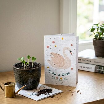 Een zwaan-wenskaart die klaarligt om geplant te worden in een bloempot.