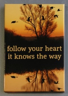 Magneet, follow your heart
