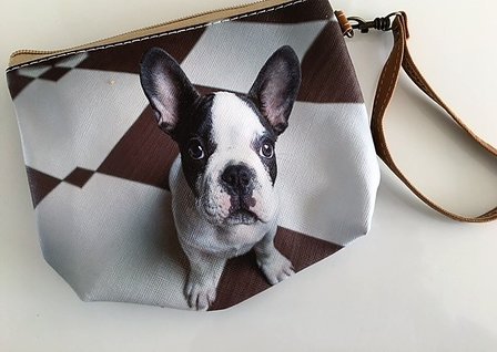 Tas hondje (etui)