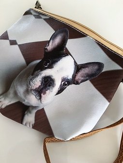 Tas hondje (etui)