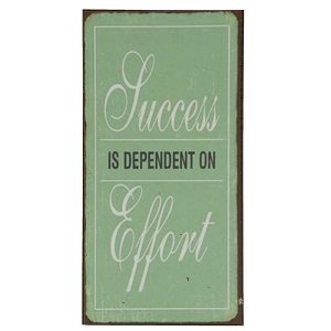 Success is dependent on effort
