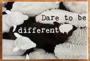 Magneet, dare to be different