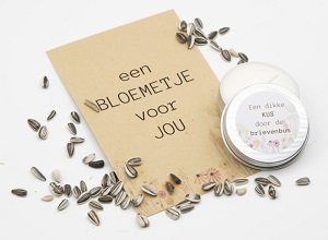 Een kaars met een kraftzakje met zaadjes