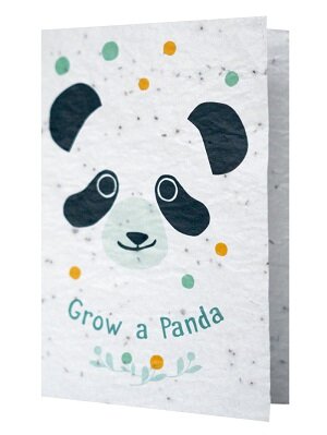 Wenskaart met tekst Grow a Panda naast een bijpassende envelop.