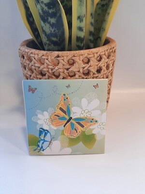 Pop up card vlinders