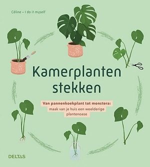 Kamerplanten stekken