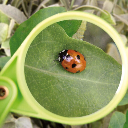 Vergrootglas voor kinderen