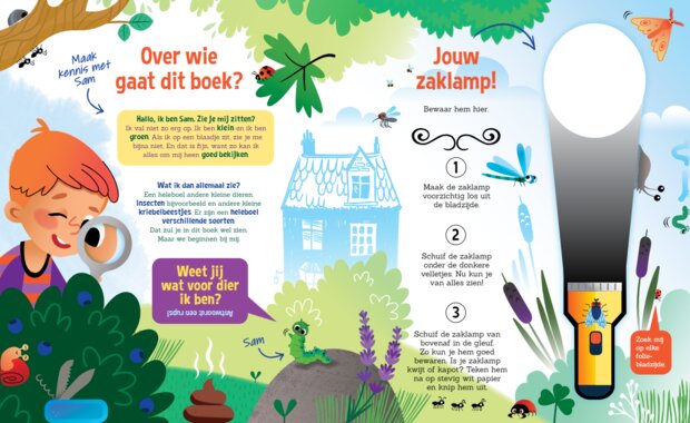 Zoekplaat in het boek 'Speuren naar Insecten' met verborgen insecten en kriebelbeestjes.