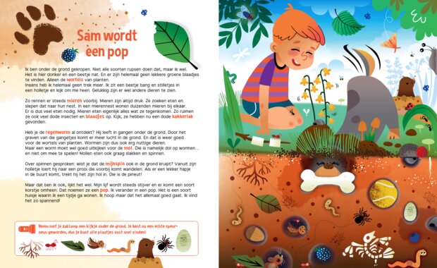 Kleurrijke illustratie van insecten in het kinderboek 'Speuren naar Insecten'.