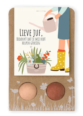 bloem bommetjes lieve juf cadeauverpakking
