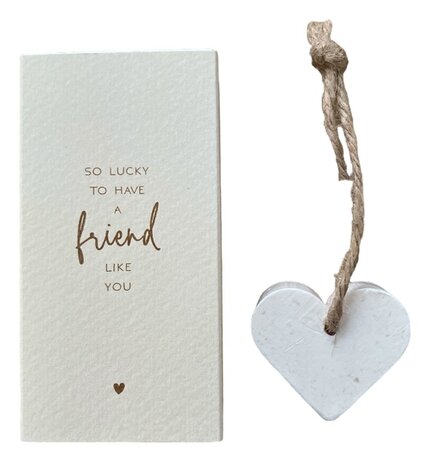 Luxe doosje met tekst So lucky to have a friend like you