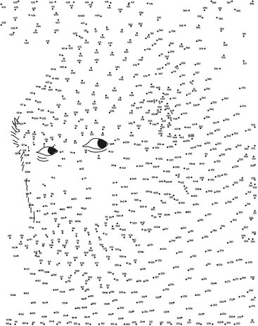 Dot‑to‑dot dieren tekeningen verbinden punt naar punt