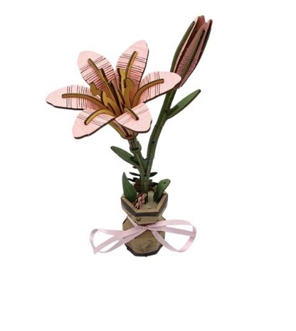 Botanische houten puzzel met zesenzeventig onderdelen en vouwbaar karton