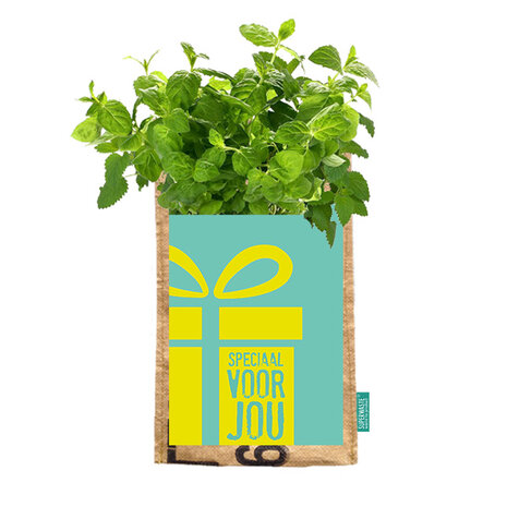 Hangtuintje met munt van gerecyclede theeplukzakken