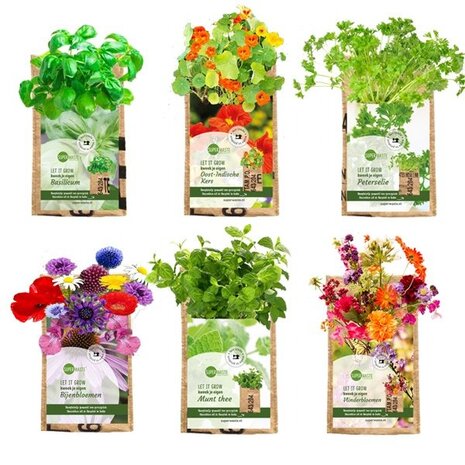 Milieuvriendelijk cadeau voor het kweken van bloemen op het balkon