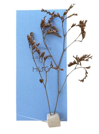 Droogbloemetje op kleivoetje naast het blauwe troostkaartje en kraft doosje
