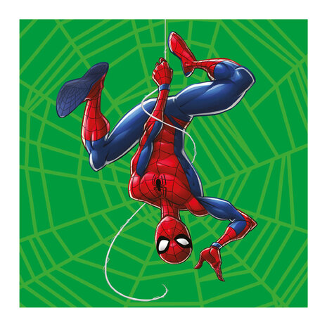 Ingekleurde kleurplaat van het spiderman color fun boek