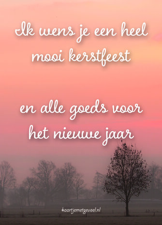 Kaartje "mooi kerstfeest"