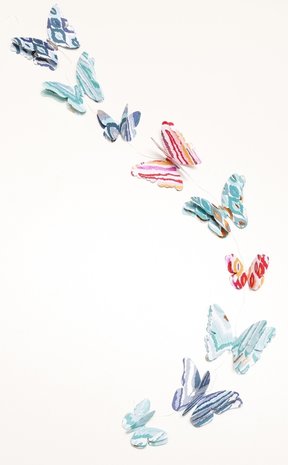 Slinger vlinders (voorbeeld)