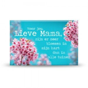 Magneet, lieve mama