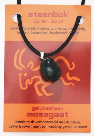 Steenbok Sterrenbeeld ketting 