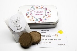 Complete vlinderbloemen kweekset in doosje 9x6 cm met aarde tabletten.