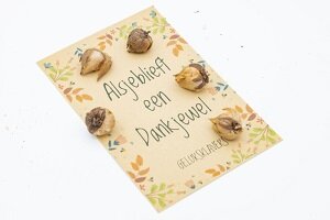 Detailopname van het kraft zakje alsjeblieft een dankjewel met 5 geluksklaverbolletjes