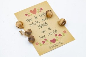 Voor de liefste leukste mooiste mama van de hele wereld geluksklavers in kraft zakje